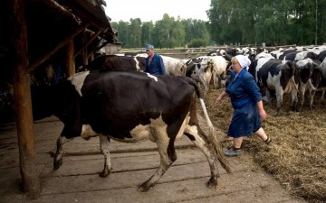 Женщинам из села хотят увеличить продолжительность рабочего дня