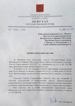 Депутаты Госдумы поручились за товарища